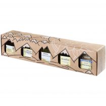 Puntzelhof - Allgäuer Genuss Box mit 3x50g Deutscher Bienenhonig und 2x50g Gläsern Fruchtaufstrich